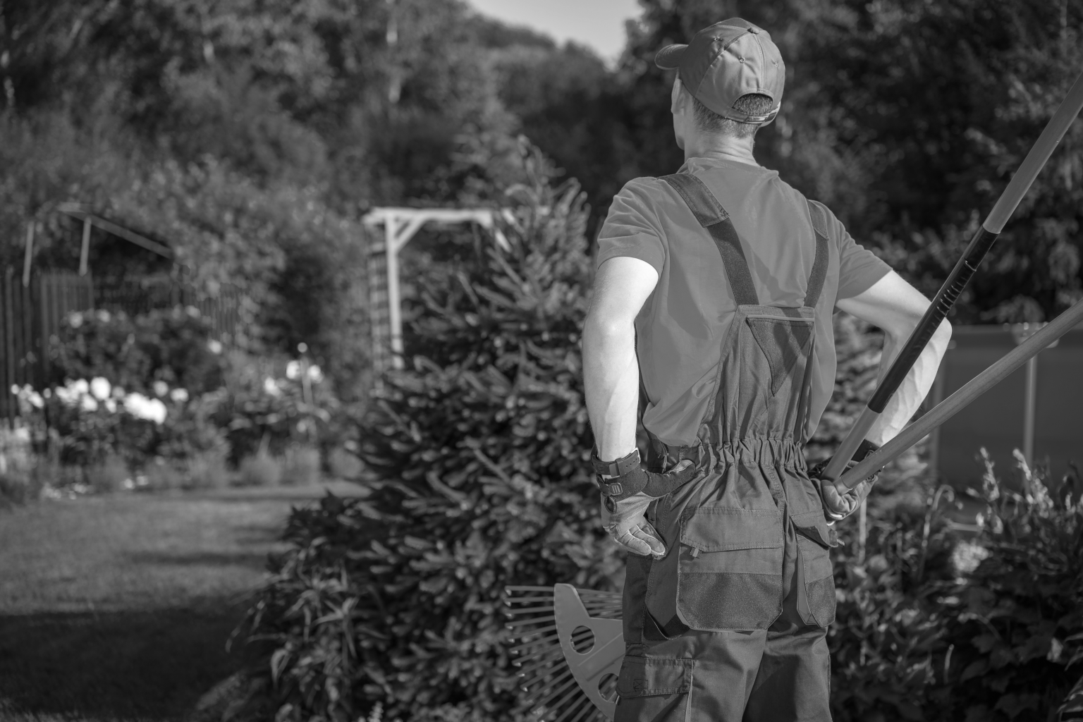 Landscaping Tips For Higher Profits Alternative Funding Group landscaping-tips-for-higher-profits-alternative-funding-group